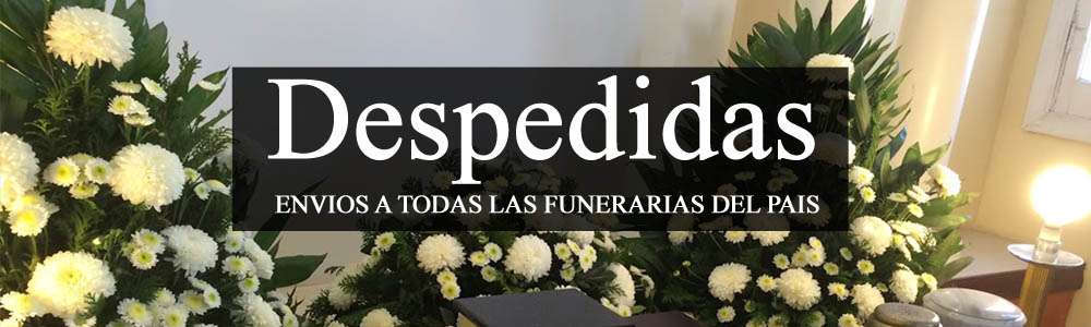 floristerias el salvador san salvador