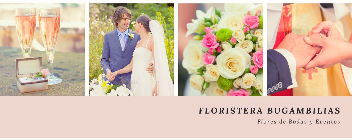 floristerias el salvador san salvador