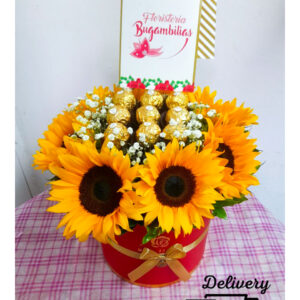 Girasol con chocolate